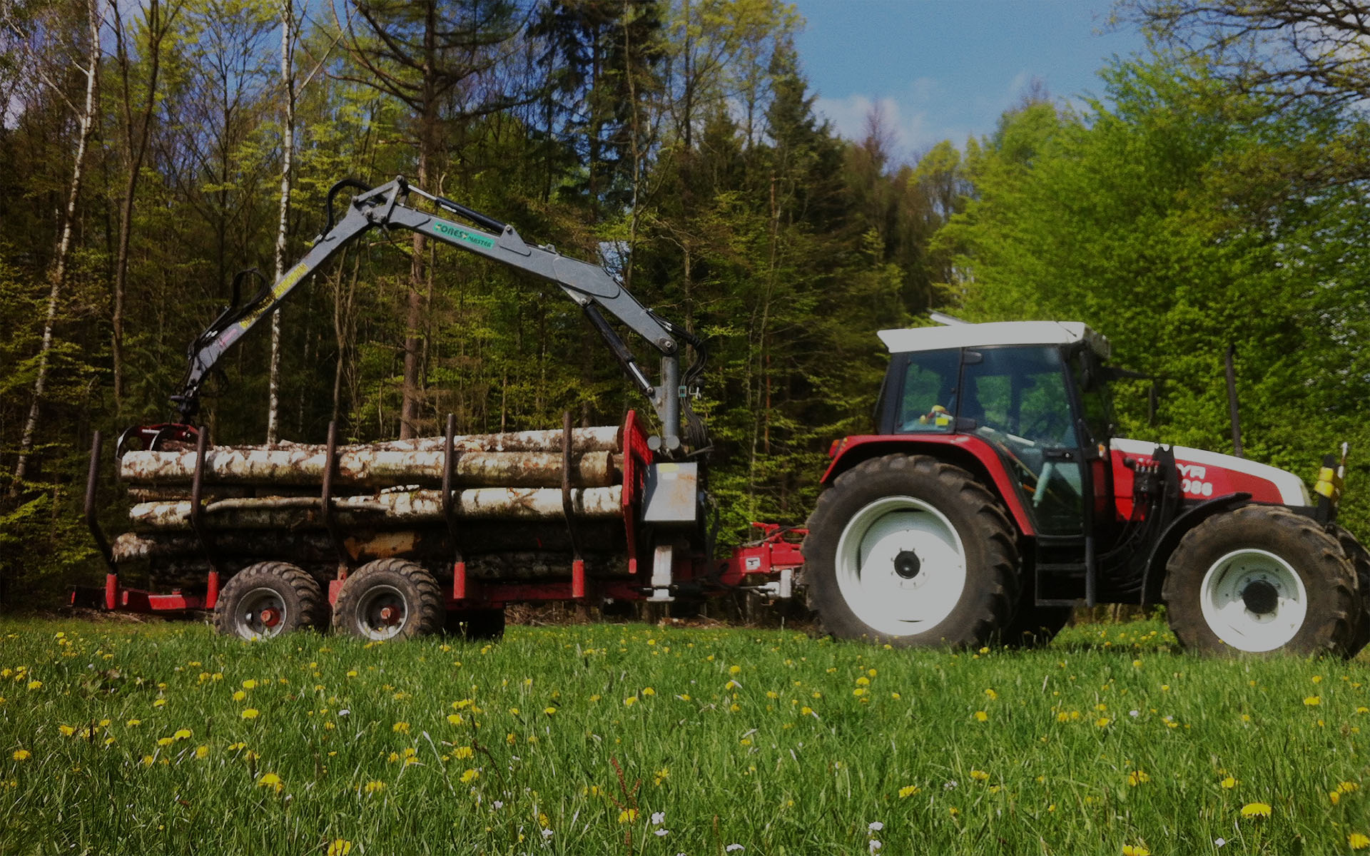 Brennholz aus der fränkischen Schweiz